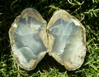 Naches Thunderegg